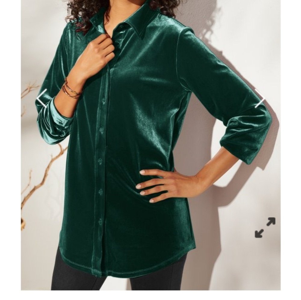 Soft Surroundings Green Velour Top